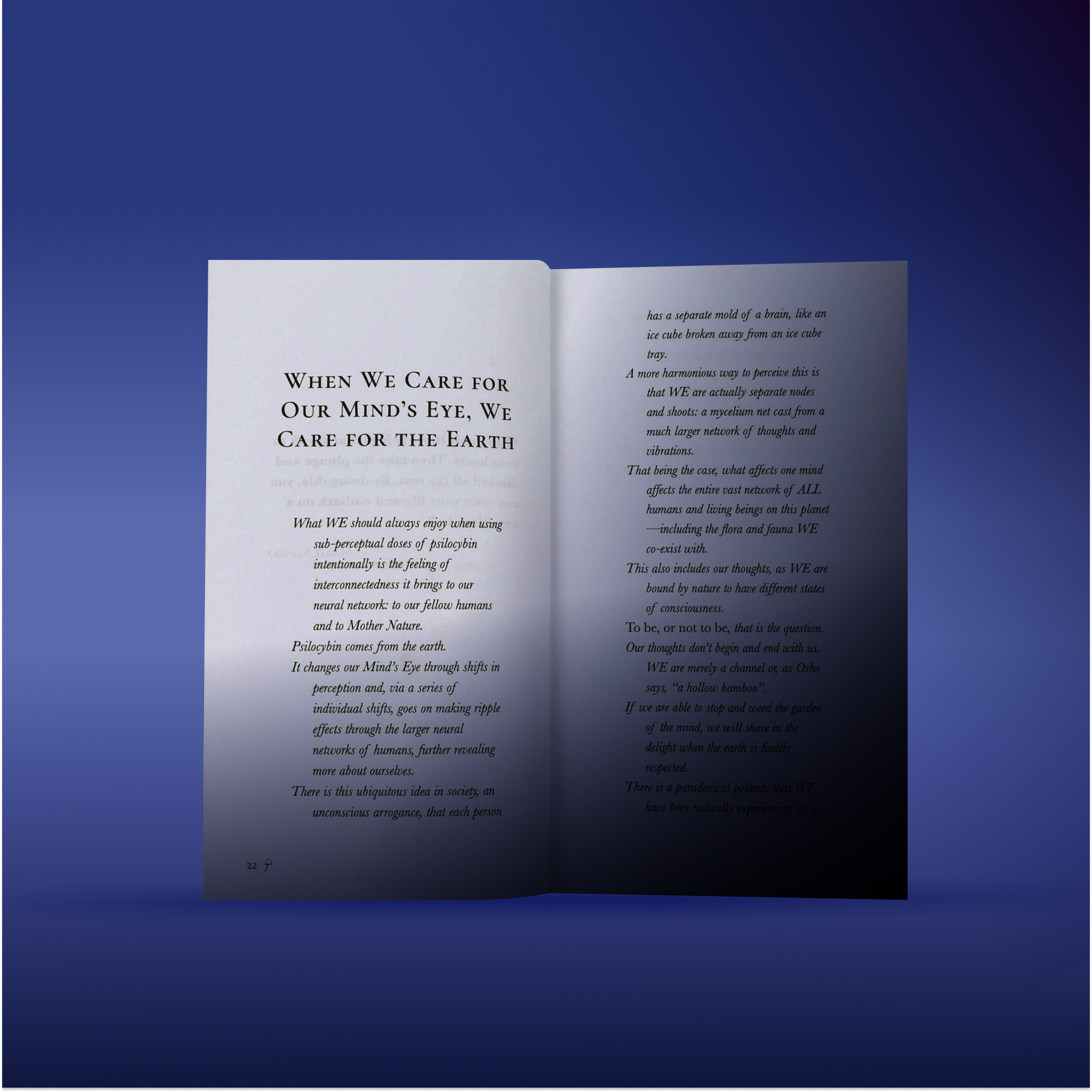 A Book of Passages: Micro Reflections For The 21st Sensory
